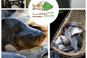 Voucher na karpia? Weź udział w NAGRODObraniu!